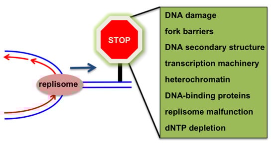 Genes 04 00001 g007 550