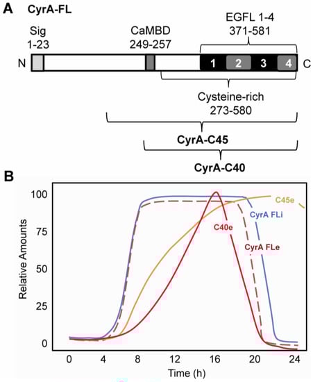 Genes 04 00033 g001 550