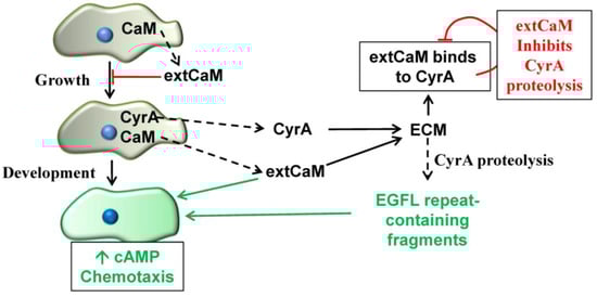 Genes 04 00033 g004 550