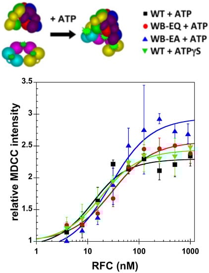 Genes 04 00134 g002 550