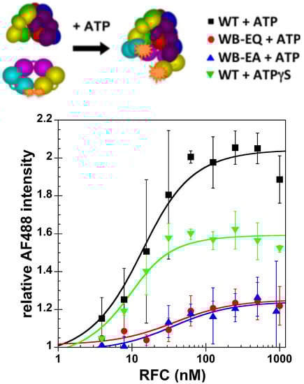 Genes 04 00134 g003 550