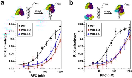 Genes 04 00134 g005 550
