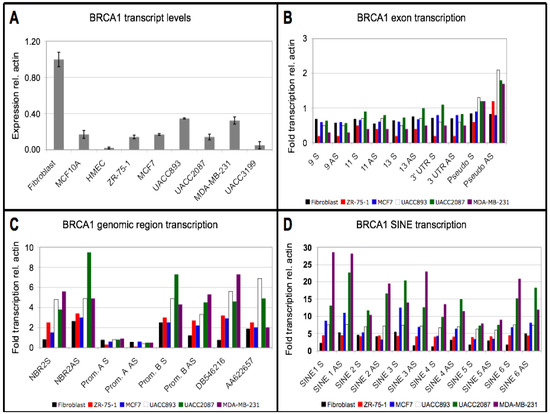 Genes 04 00226 g002 550