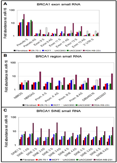Genes 04 00226 g003 550