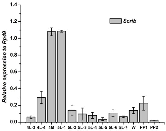 Genes 04 00264 g004 550