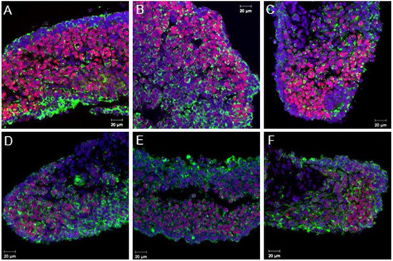 Genes 04 00293 g002 550