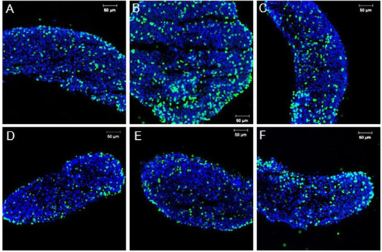 Genes 04 00293 g003 550