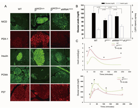 Genes 04 00358 g003 550