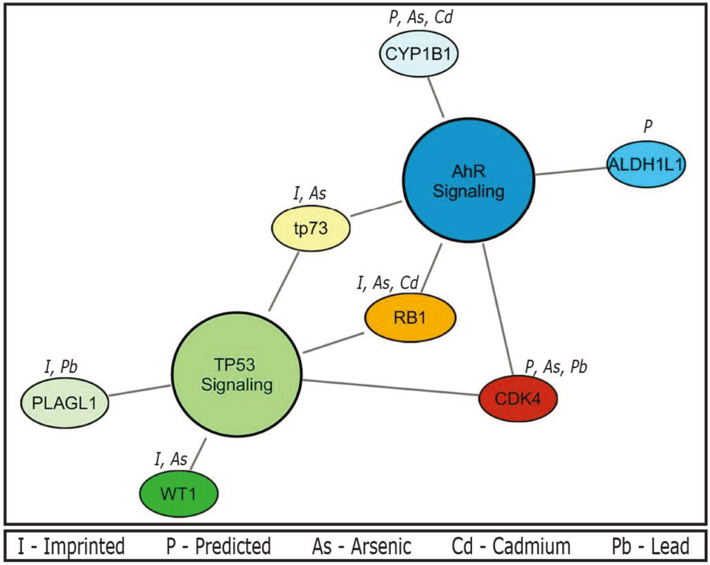 Genes 05 00477 g001 1024