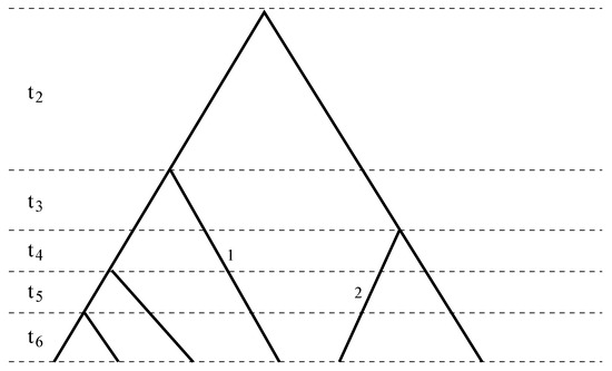 Genes 05 00561 g001 550