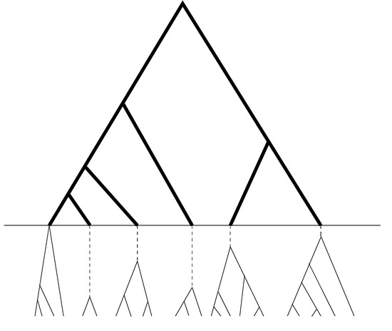 Genes 05 00561 g002 550