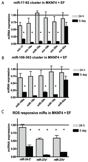 Genes 05 00726 g001 550