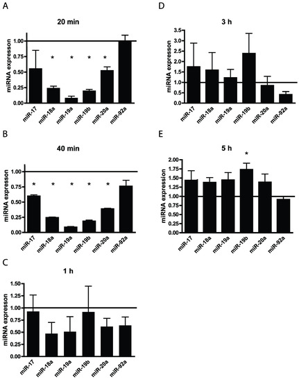 Genes 05 00726 g002 550