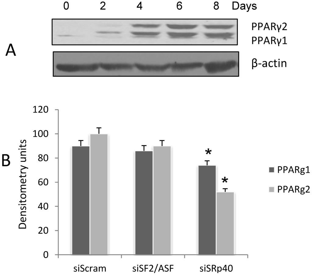 Genes 05 01050 g001 1024
