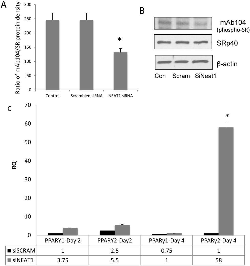 Genes 05 01050 g003 1024