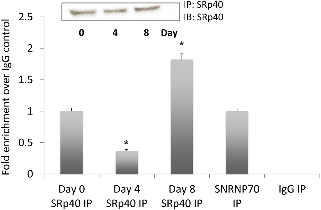 Genes 05 01050 g004 1024