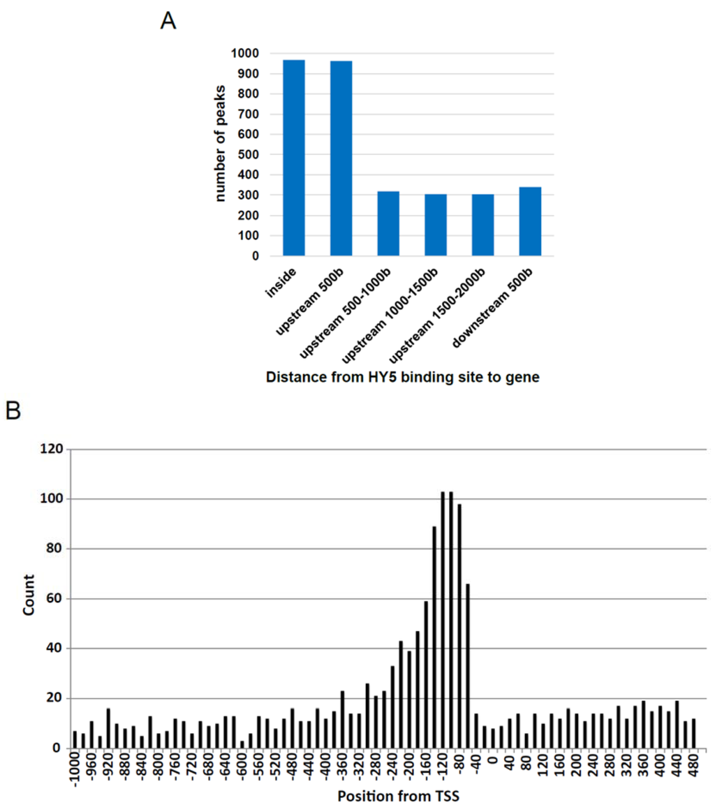 Genes 05 01115 g002 1024