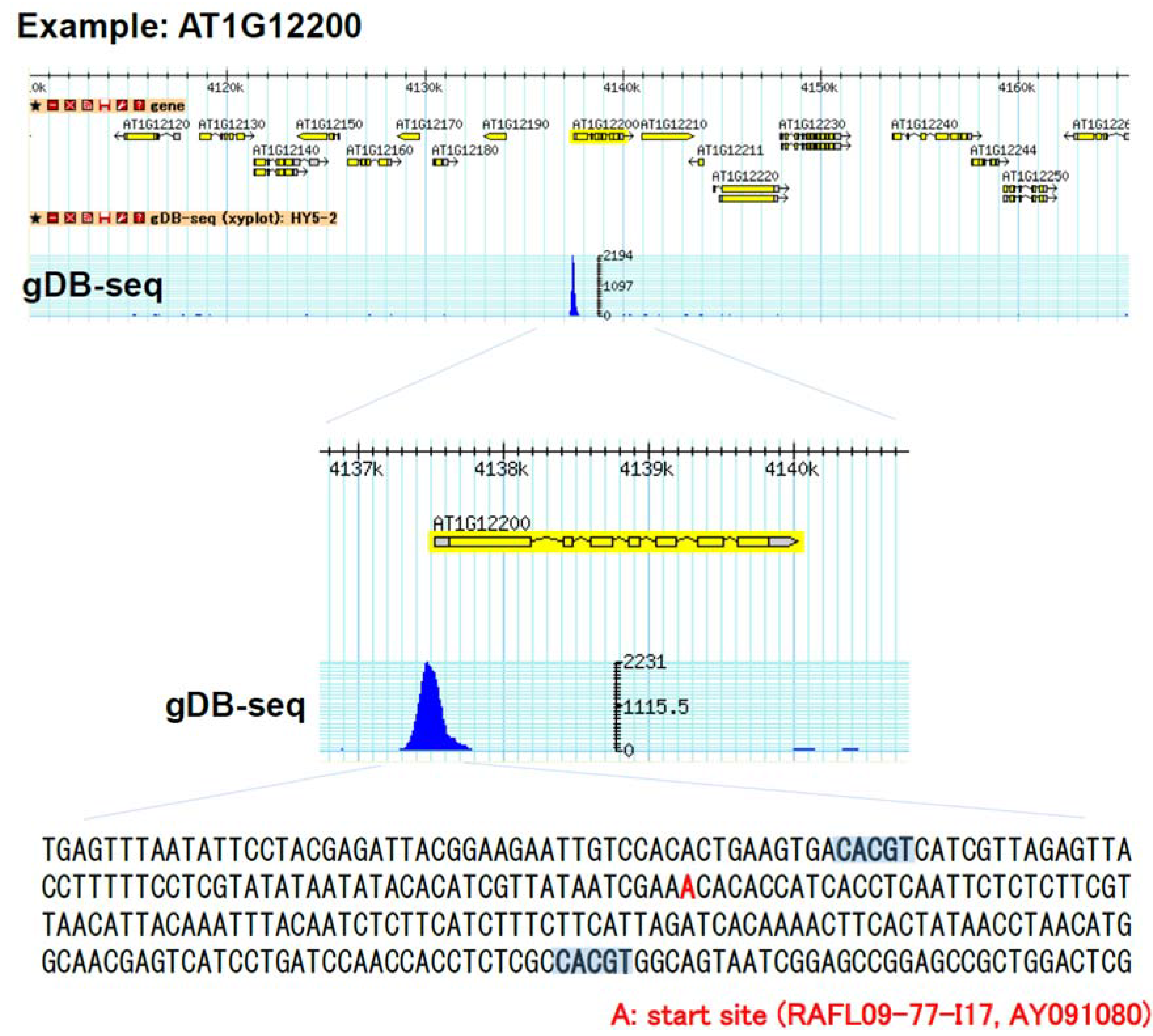 Genes 05 01115 g004