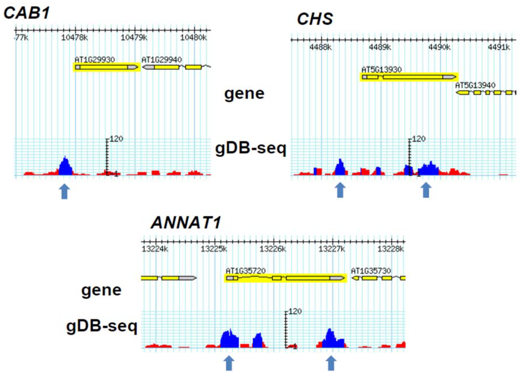 Genes 05 01115 g006 1024