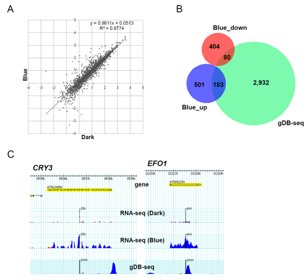 Genes 05 01115 g008a 1024