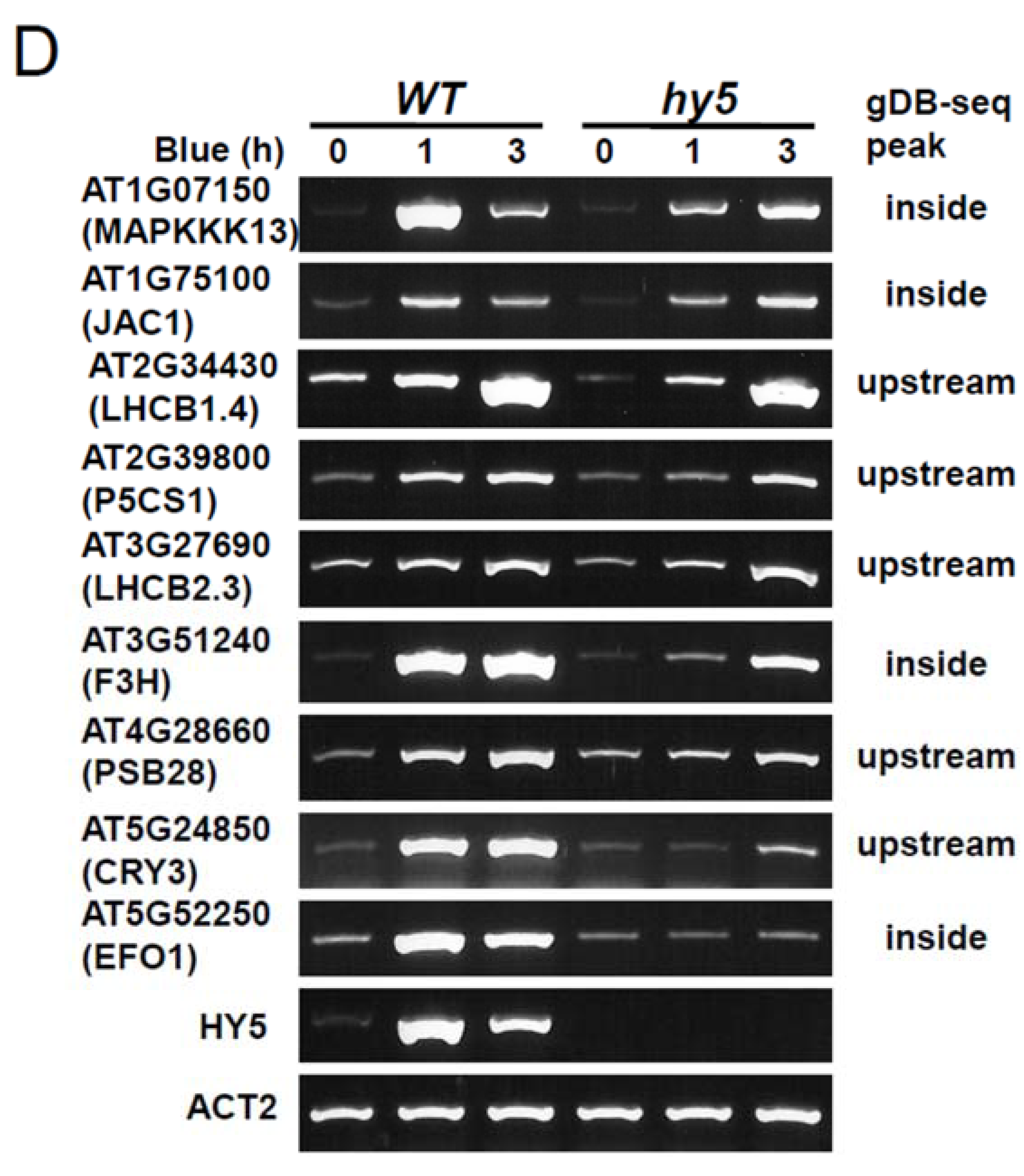 Genes 05 01115 g008b