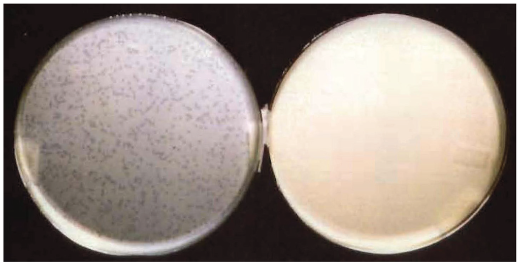 Genes 06 00436 g003 1024