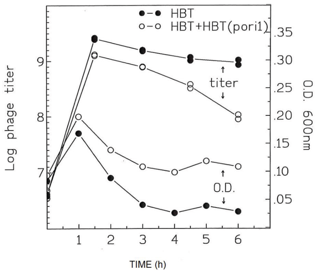 Genes 06 00436 g006 1024