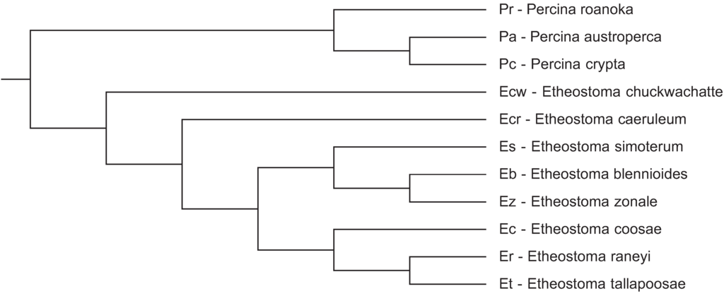 Genes 06 00662 g001 1024