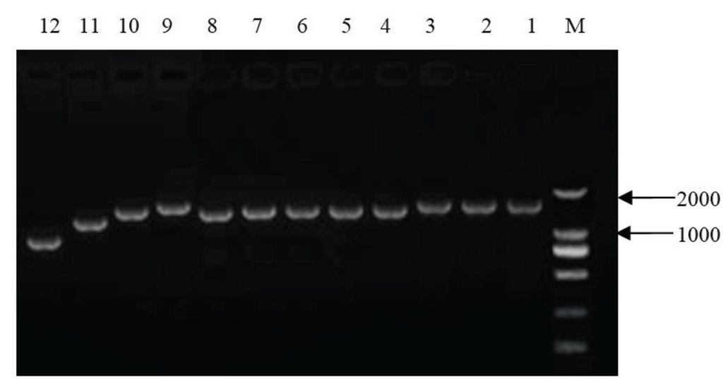 Genes 06 00672 g001 1024