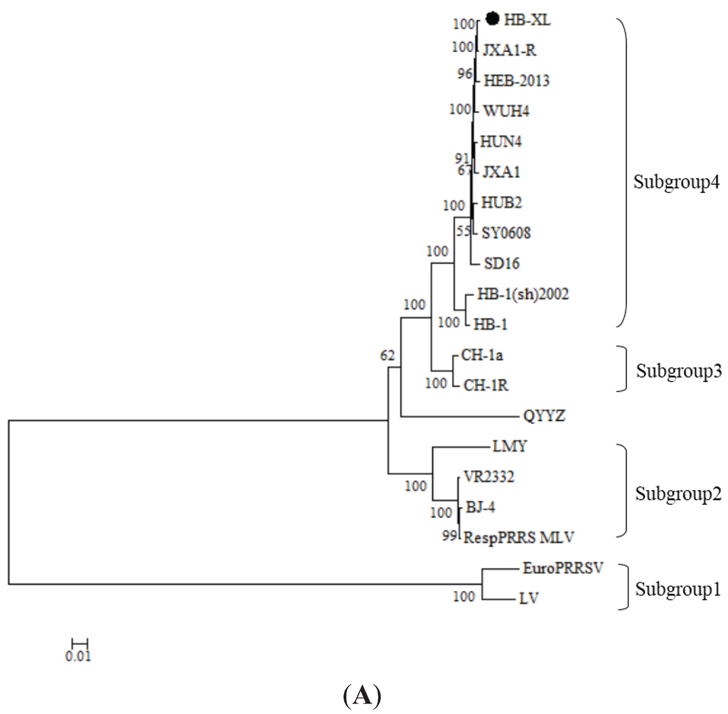 Genes 06 00672 g002a 1024