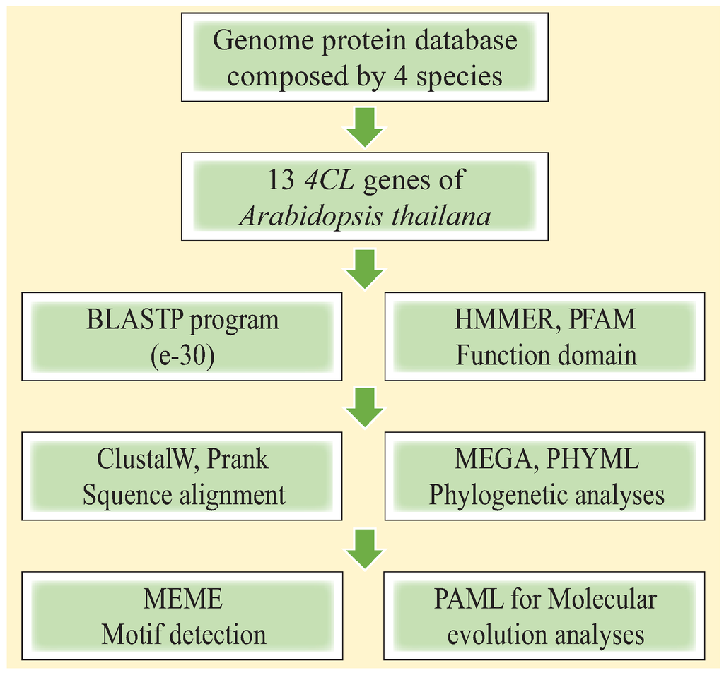 Genes 06 00901 g001 1024