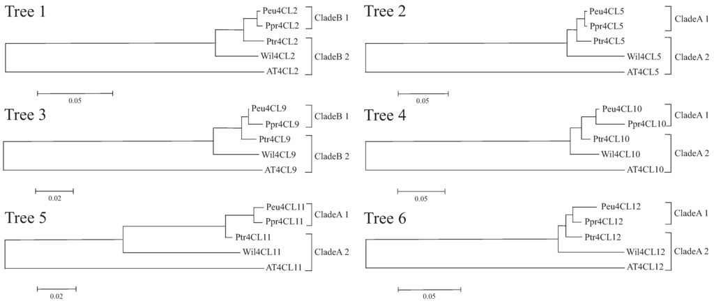 Genes 06 00901 g003 1024