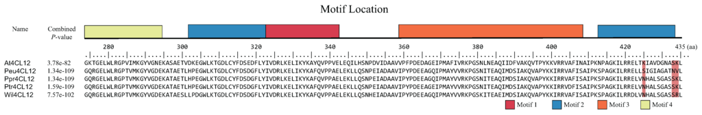 Genes 06 00901 g004 1024