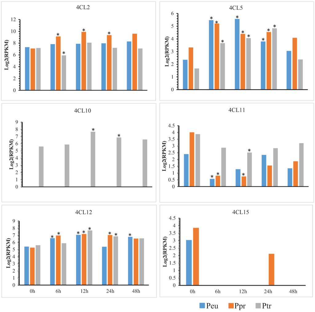 Genes 06 00901 g006 1024