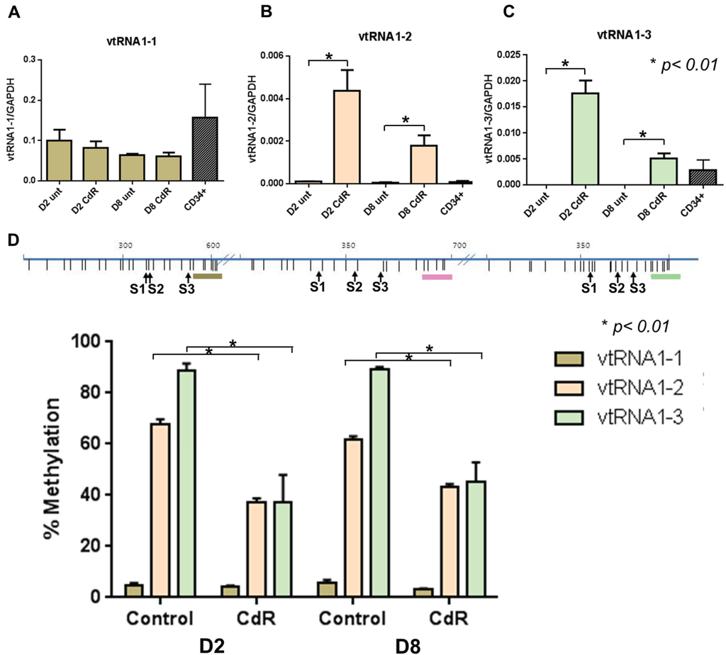 Genes 06 00977 g001 1024