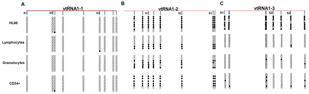 Genes 06 00977 g002 1024