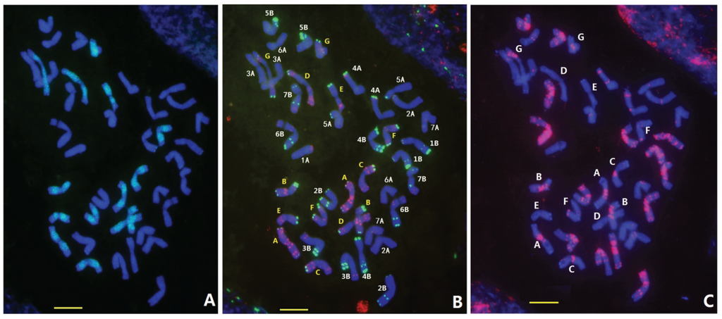 Genes 06 01242 g001 1024