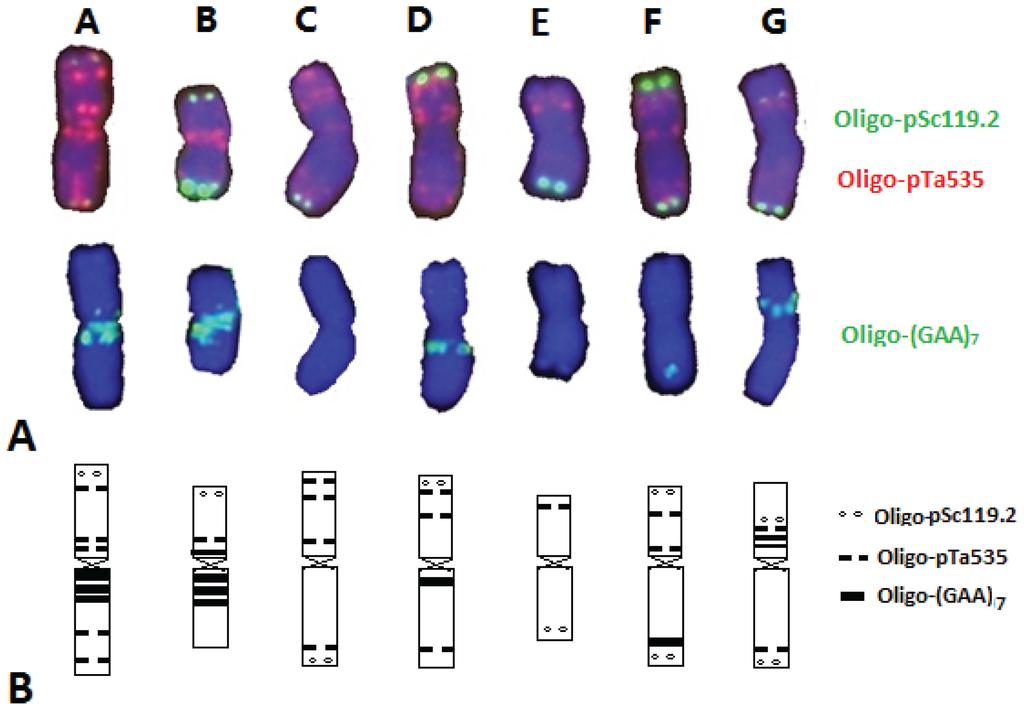 Genes 06 01242 g002 1024