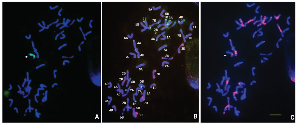 Genes 06 01242 g003a 1024