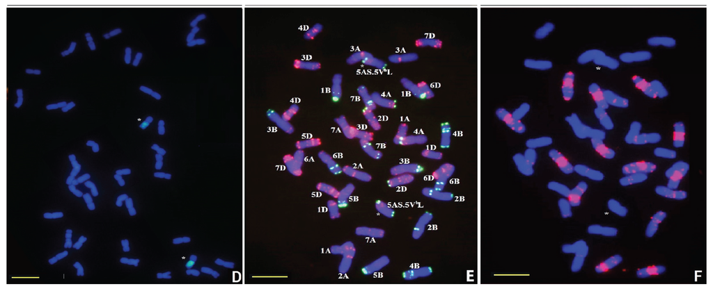 Genes 06 01242 g003b 1024