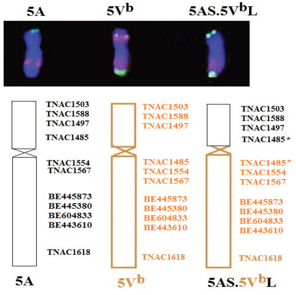 Genes 06 01242 g005 1024