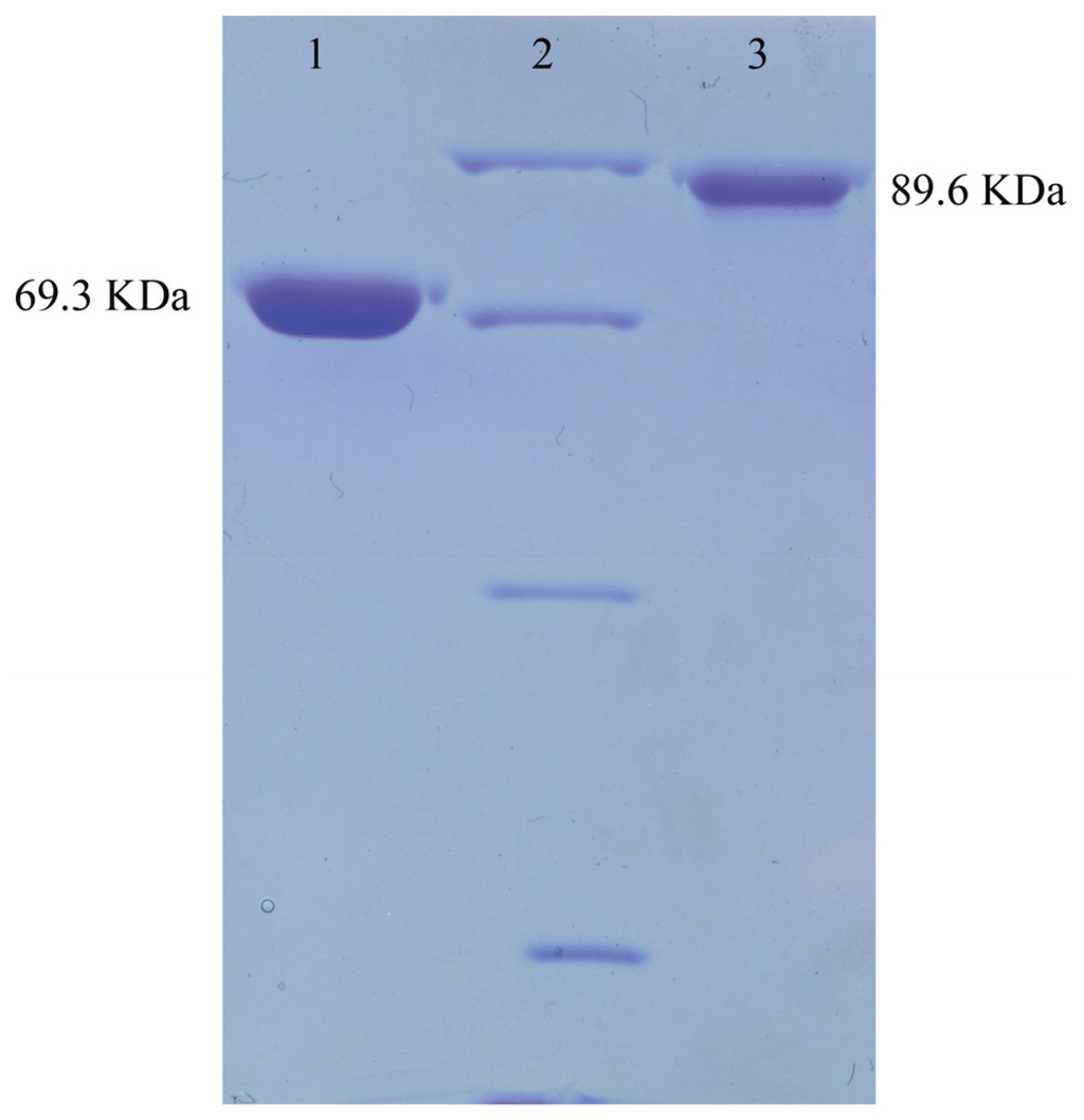 Genes 06 01268 g004 1024