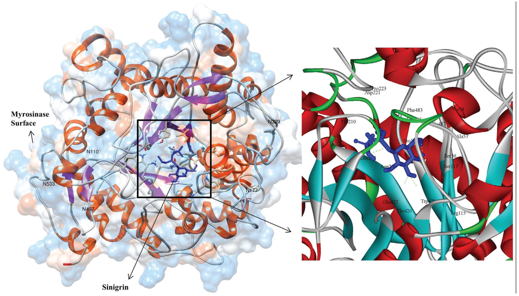 Genes 06 01315 g005 1024