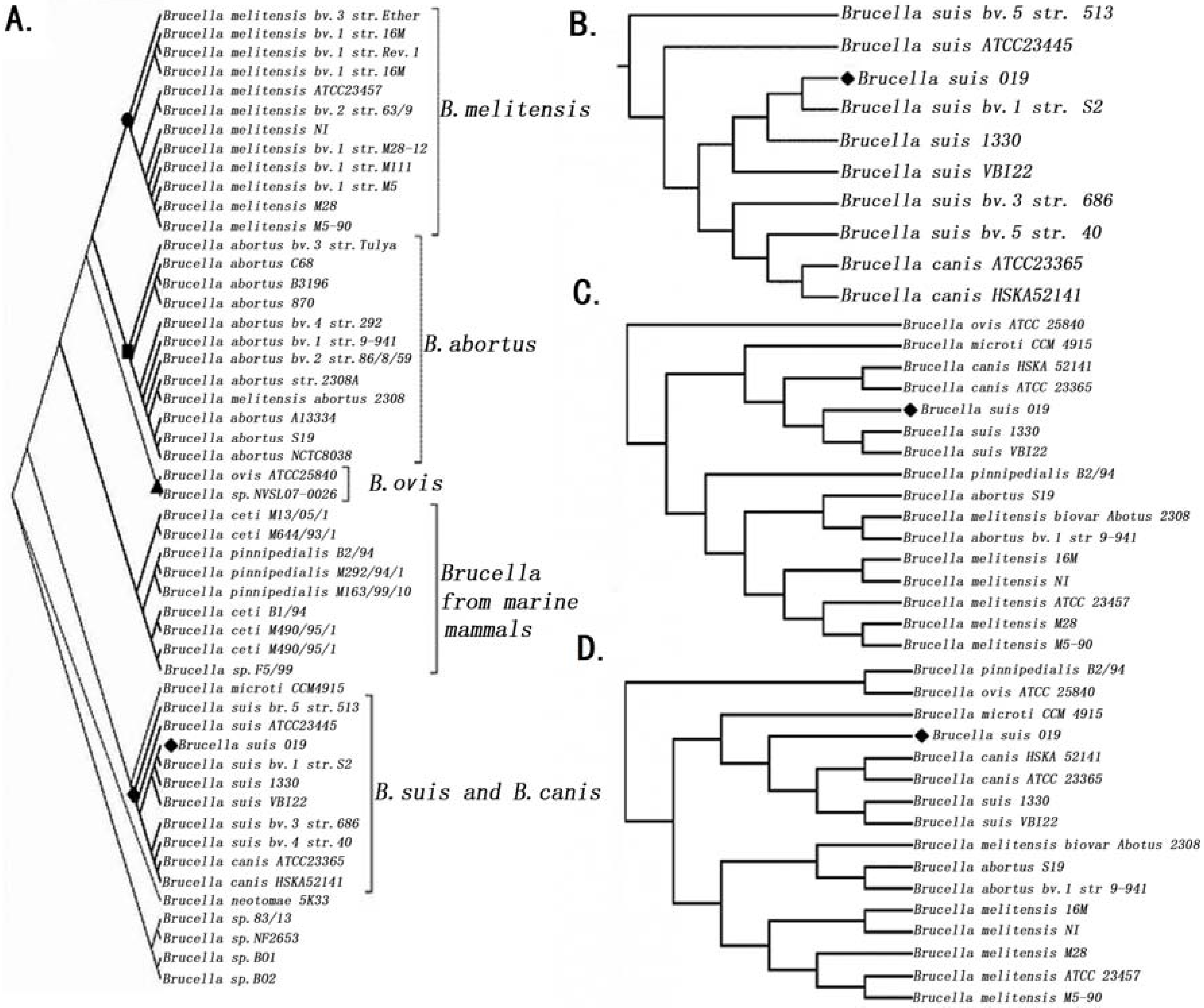 Genes 07 00007 g001
