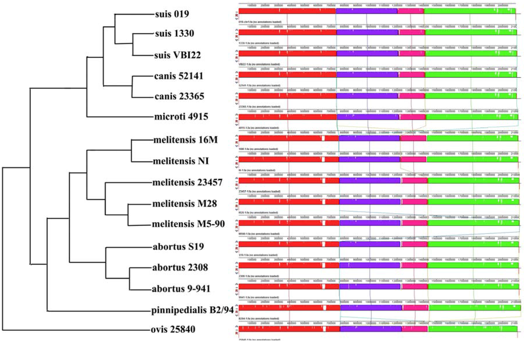 Genes 07 00007 g002 1024