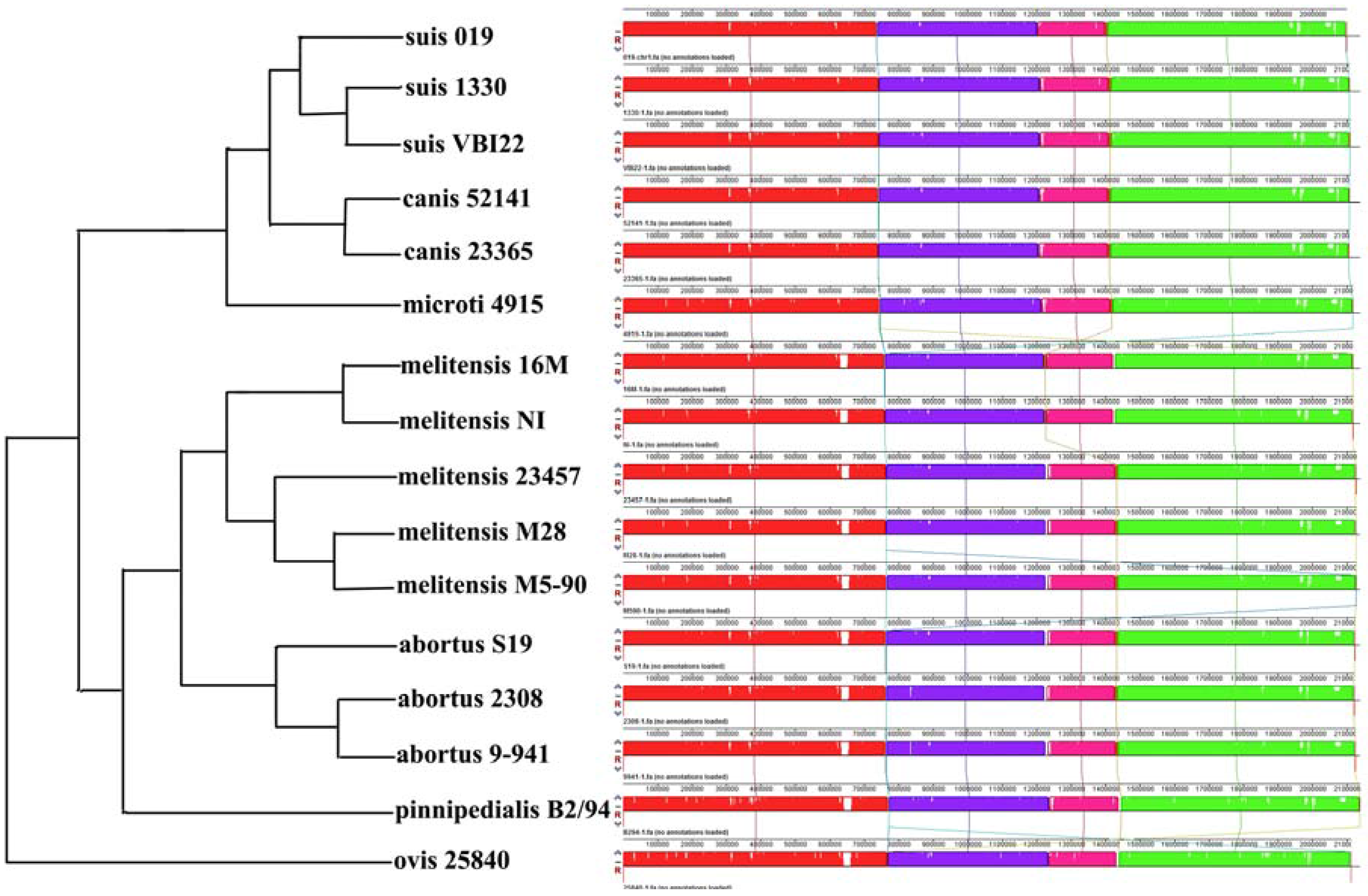 Genes 07 00007 g002