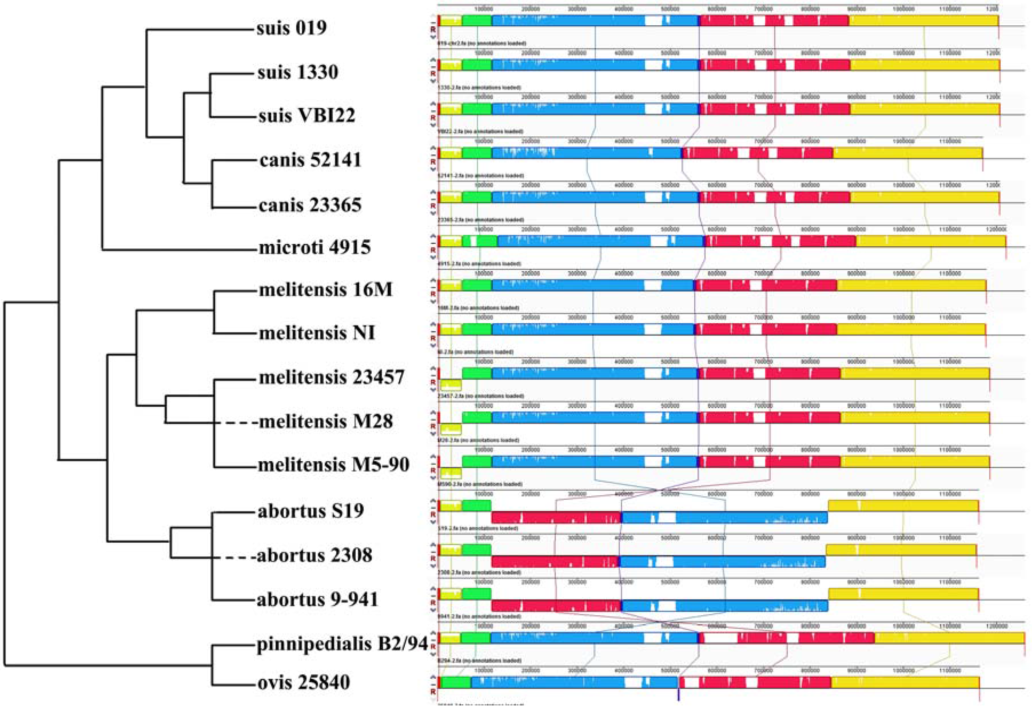 Genes 07 00007 g003