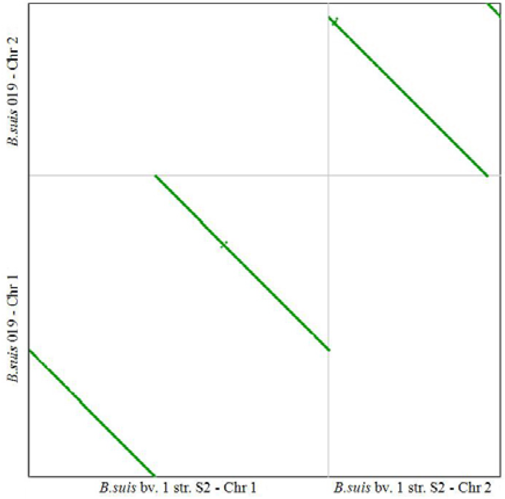 Genes 07 00007 g004 1024
