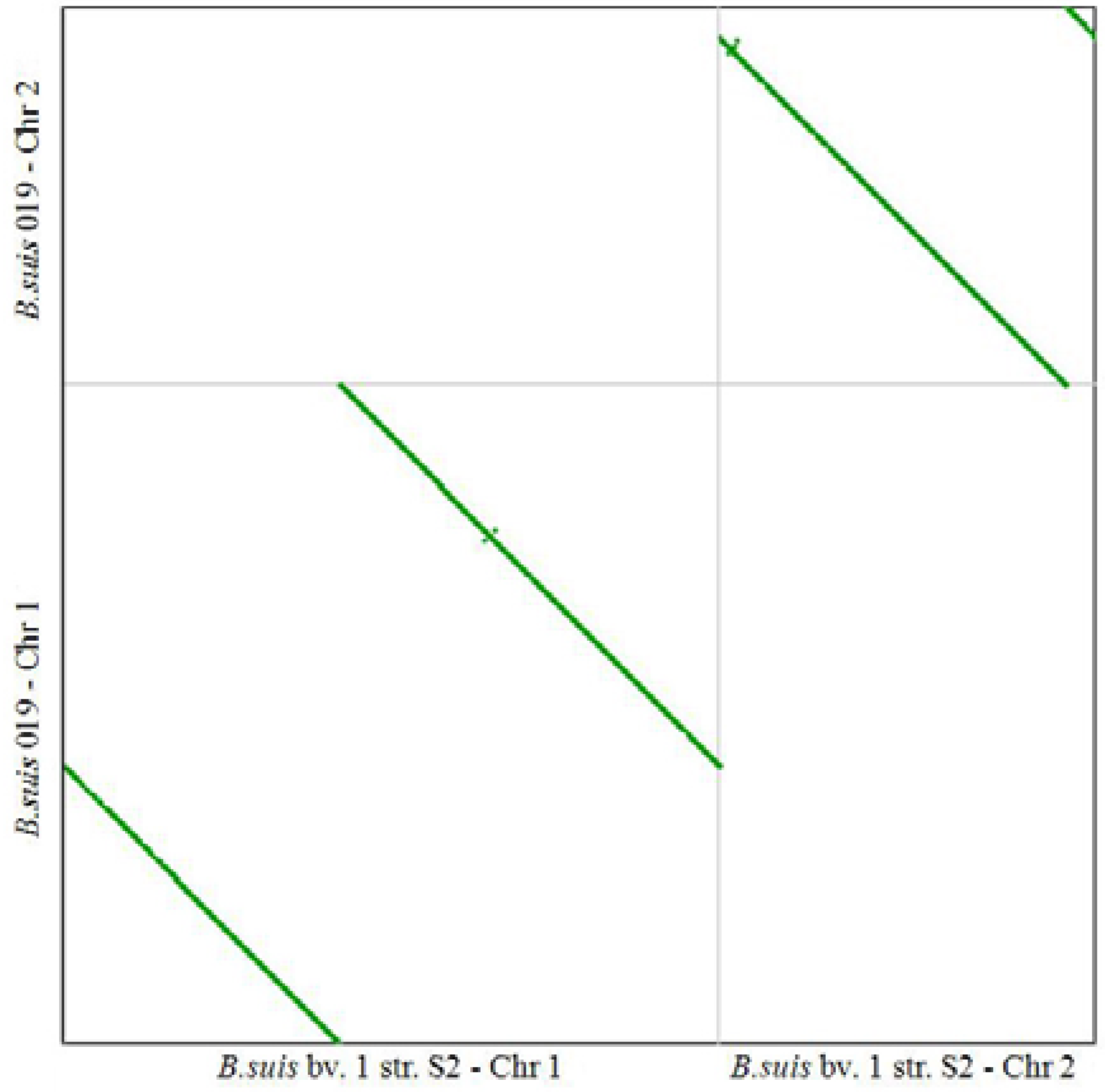 Genes 07 00007 g004