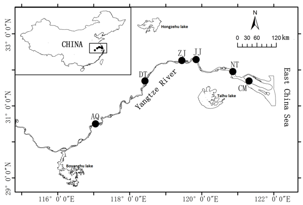 Genes 07 00008 g005 1024
